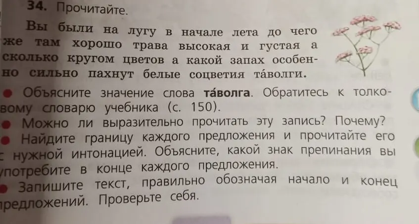 Объясни значение слова таволга из текста упражнения