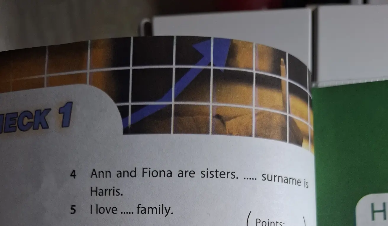 В предложении 'Ann and Fiona are sisters. ... surname is Harris' нужно вставить местоимение.