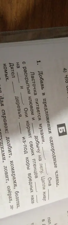 Добавь в предложения однородные члены.