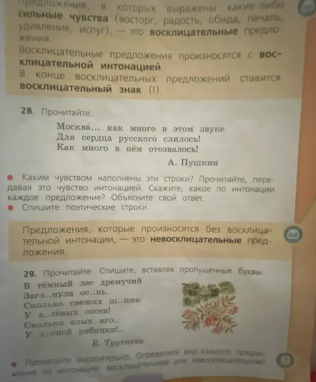 Помоги ответить на вопросы и выполнить задания по русскому языку в упражнениях 28 и 29