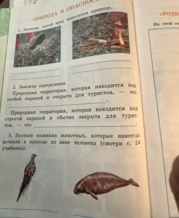 Определи, какой вред наносится природе на картинке