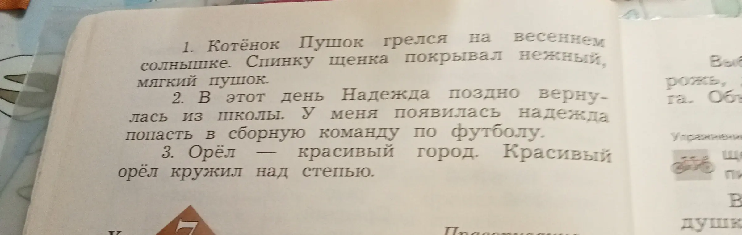 Выпиши из предложений омонимы