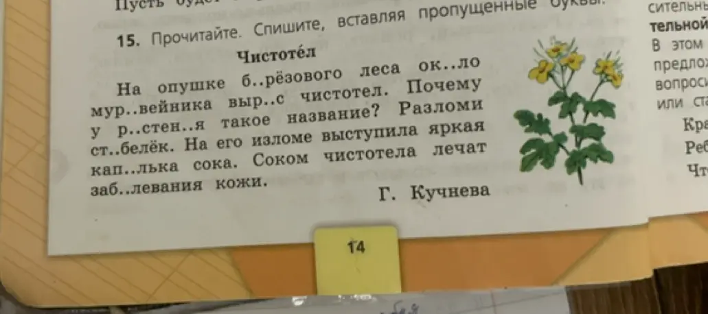 Вставь пропущенные буквы в тексте про чистотел