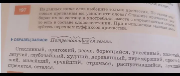 Выбери из данных слов только причастия.