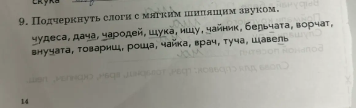 Подчеркни слоги с мягким шипящим звуком в словах: чудеса, дача, чародей, щука, ищу, чайник, бельчата, ворчат, внучата, товарищ, роща, чайка, врач, туча, щавель