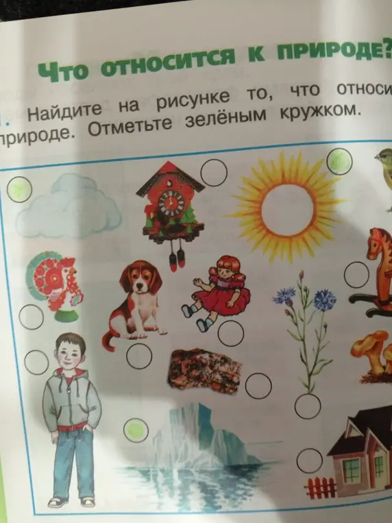Предложи отметить зелёным кружком то, что относится к природе на рисунке