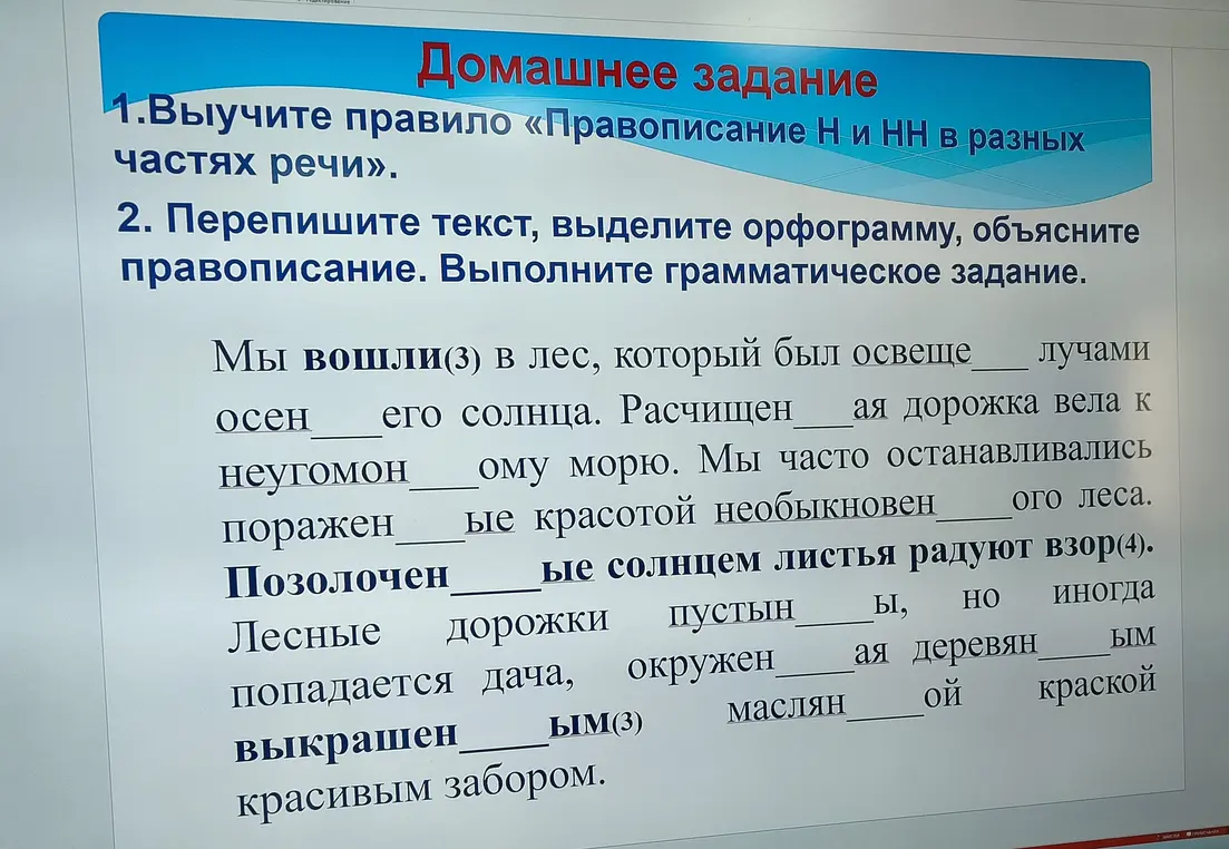 Выполни, пожалуйста, задание: перепиши текст, вставь буквы, выдели орфограмму, объясни правописание и выполни грамматическое задание.
