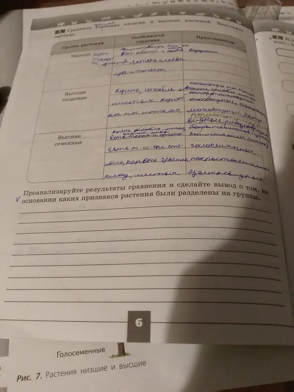Проанализируй результаты сравнения и сделай вывод о том, на основании каких признаков растения были разделены на группы.