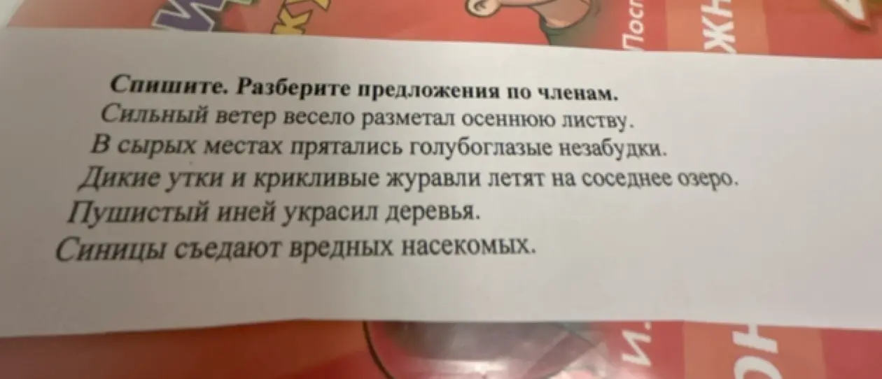 Разбери предложения по членам: 'Сильный ветер весело разметал осеннюю листву'