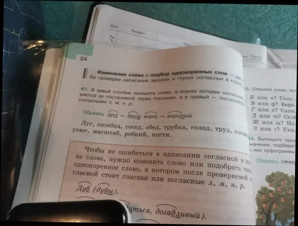 Составь таблицу по заданию 41: в левый столбик запиши слова, в корнях которых согласные являются их постановкой перед гласными, а в правый - постановкой согласными л, м, н, р.