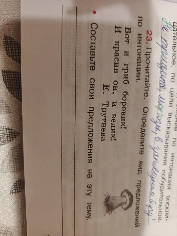 Составь свои предложения на тему грибов