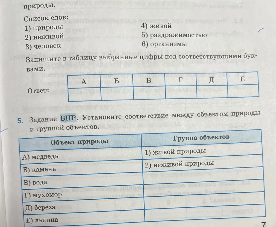 Помоги установить соответствие между объектом природы и группой объектов в задании ВПР: А) медведь, Б) камень, В) вода, Г) мухомор, Д) берёза, Е) льдина