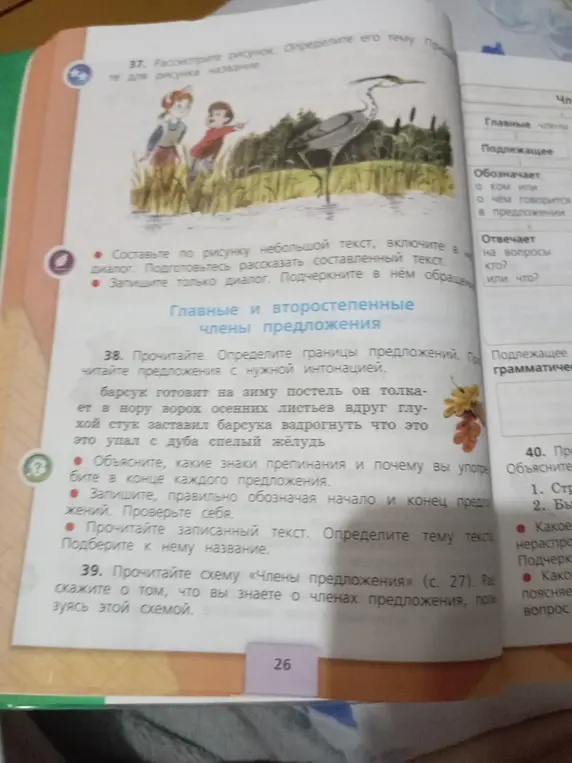 Определи границы предложений и тему текста в упражнении 38
