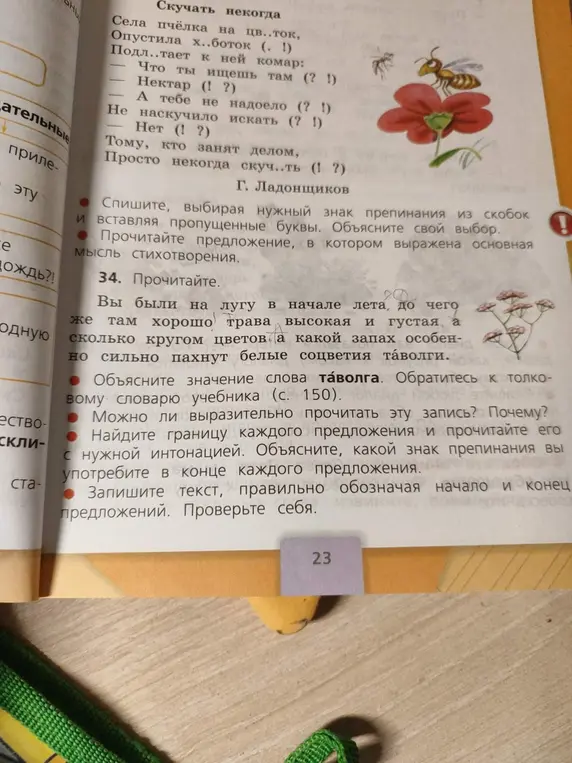 Ты просишь списать текст, выбирая нужный знак препинания из скобок и вставляя пропущенные буквы. Также просишь найти границу каждого предложения и прочитать его с нужной интонацией, объяснить, какой знак препинания употребить в конце каждого предложения.