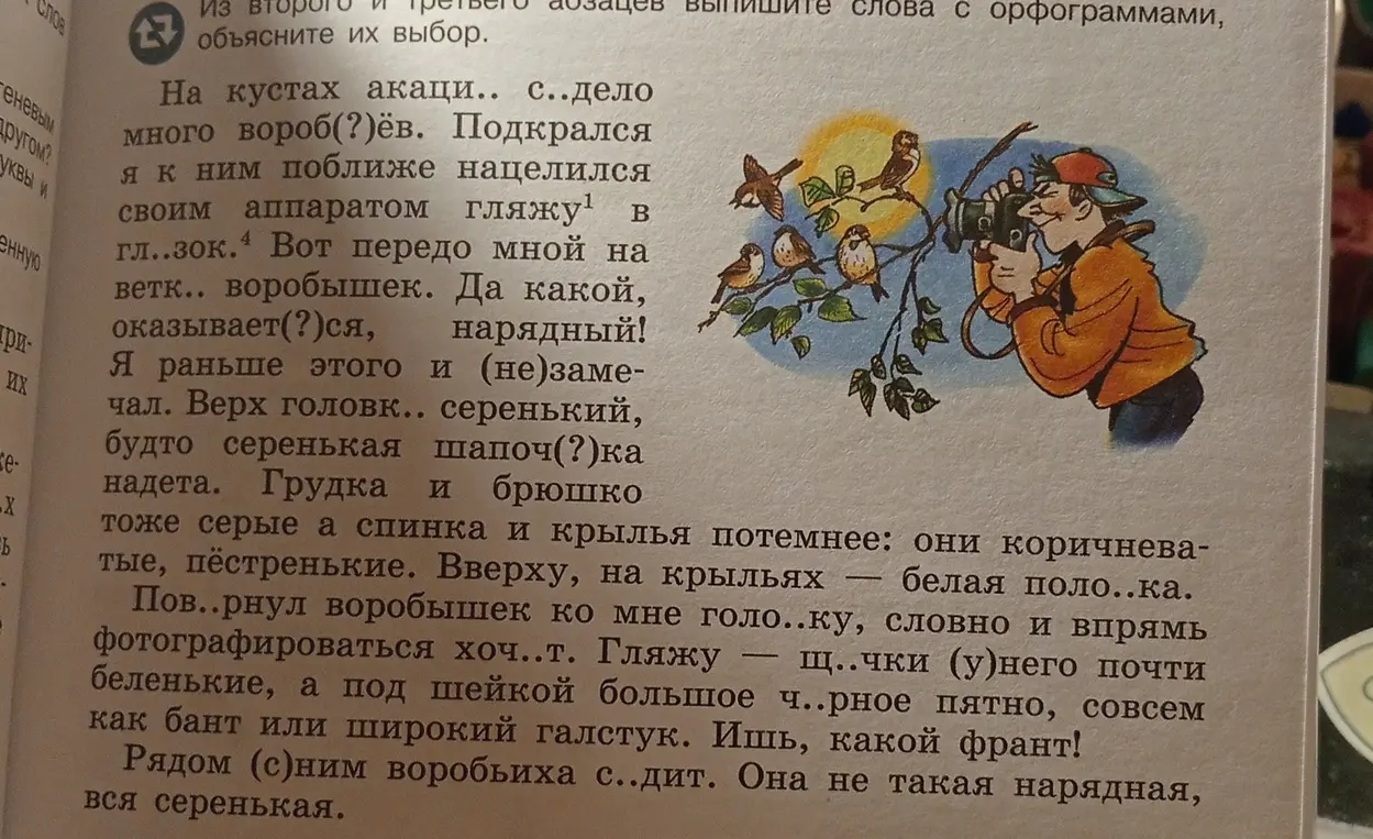 Ты просишь меня вставить в текст слова с орфограммами из второго и третьего абзацев и объяснить их выбор.