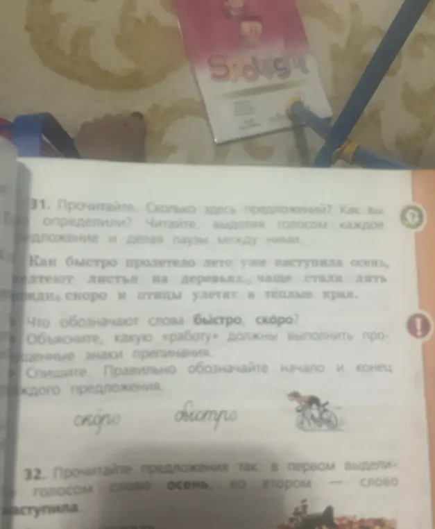 Прочитай текст. Сколько здесь предложений? Как ты это определил?