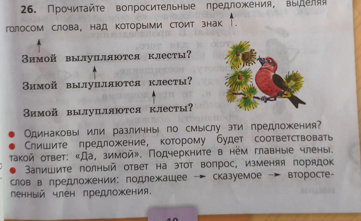 Прочитай вопросительные предложения и выдели голосом слова, над которыми стоит знак.