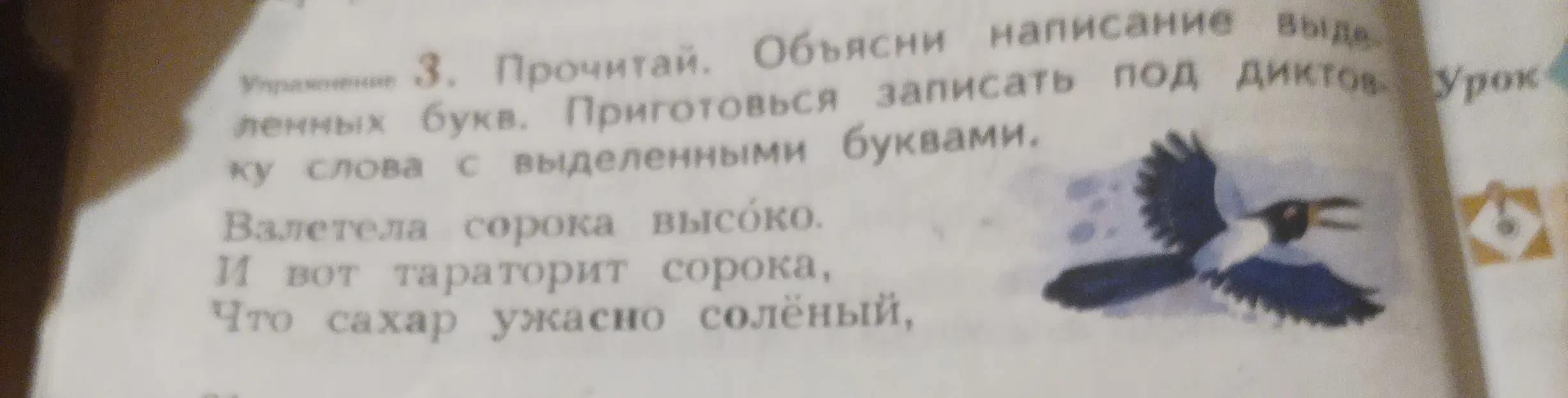 Объясни написание выделенных букв в словах: взлетела, сорока, высоко, сахар, солёный