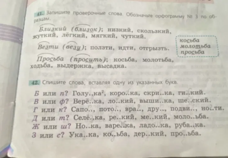 Составь слова, вставляя одну из указанных букв (задание 42)