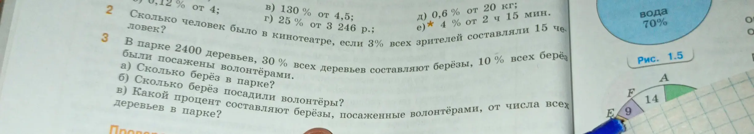 Реши задачу: Сколько человек было в кинотеатре, если 3% всех зрителей составляли 15 человек? В парке 2400 деревьев, 30% всех деревьев составляют берёзы, 10% всех берёз были посажены волонтёрами. Сколько берёз в парке?