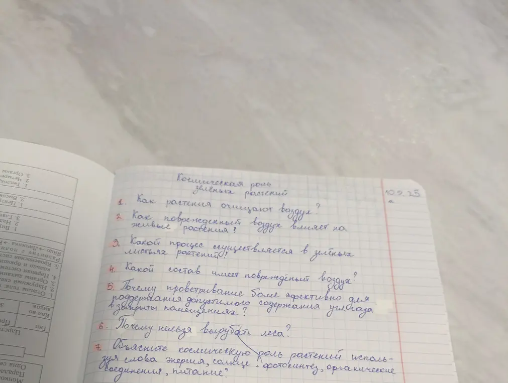 Объясни, как растения очищают воздух