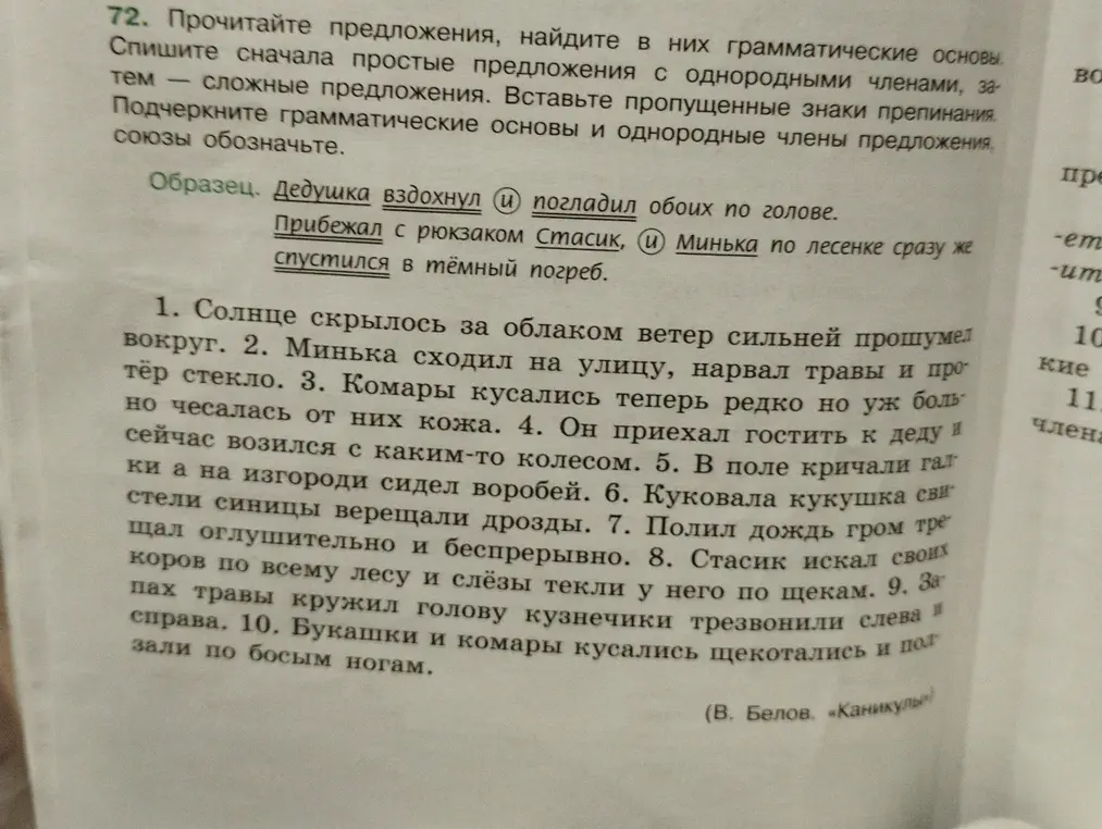 Прочитай предложения, найди в них грамматические основы, подчеркни грамматические основы и однородные члены предложения, союзы обозначь.