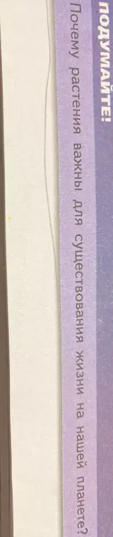 Почему растения важны для существования жизни на нашей планете?