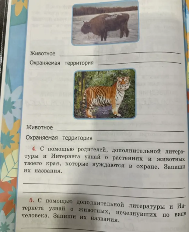 Определи животное и охраняемую территорию, изображённые на картинке