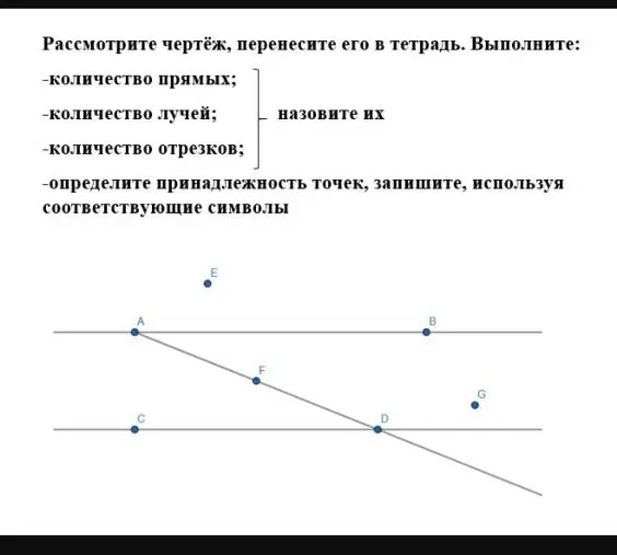Рассмотри чертёж и определи количество прямых, лучей, отрезков и принадлежность точек, используя соответствующие символы.