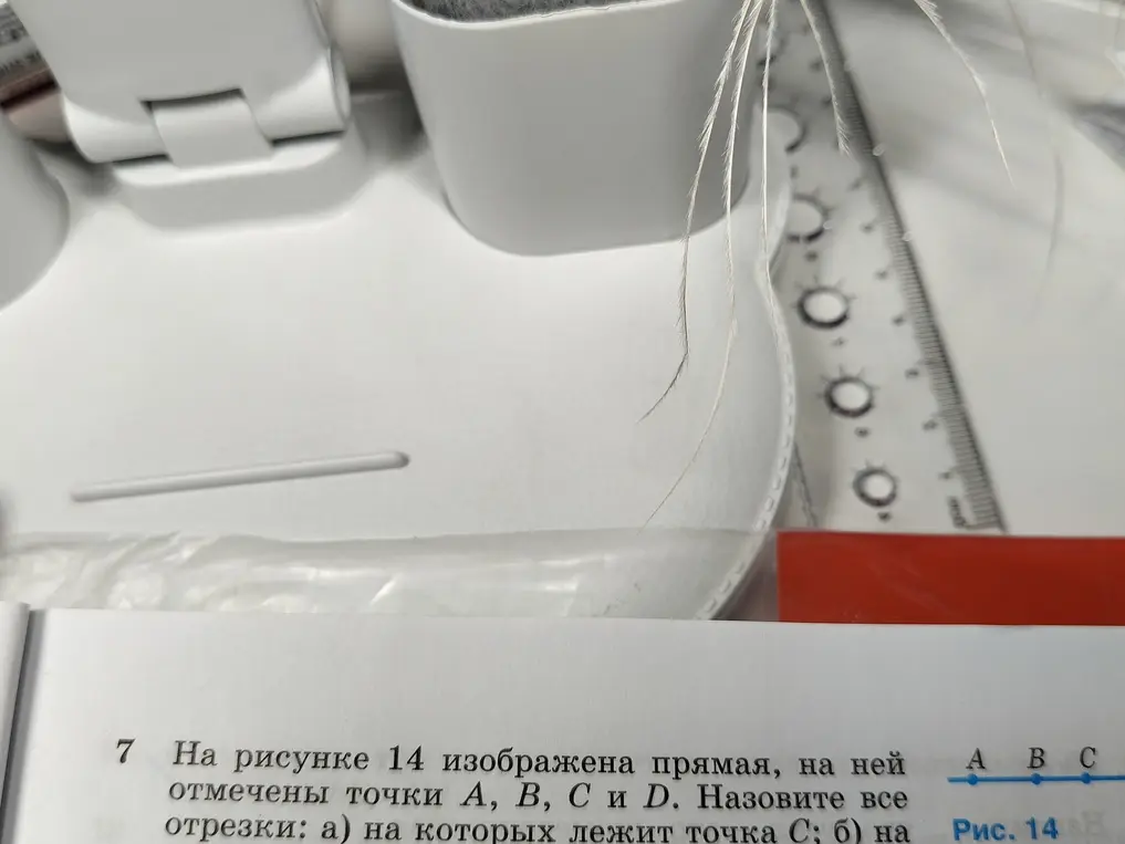 Можешь назвать все отрезки, на которых лежит точка С и точка В?