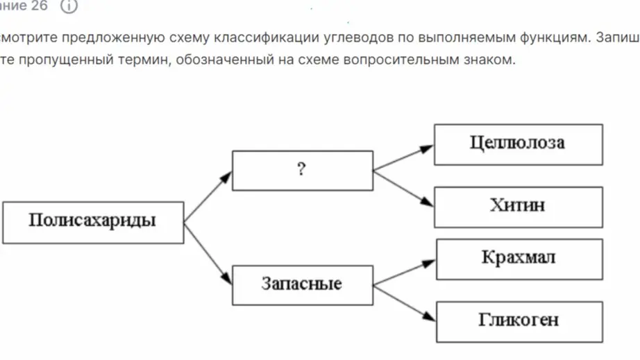 На схеме классификации углеводов по выполняемым функциям нужно записать пропущенный термин.
