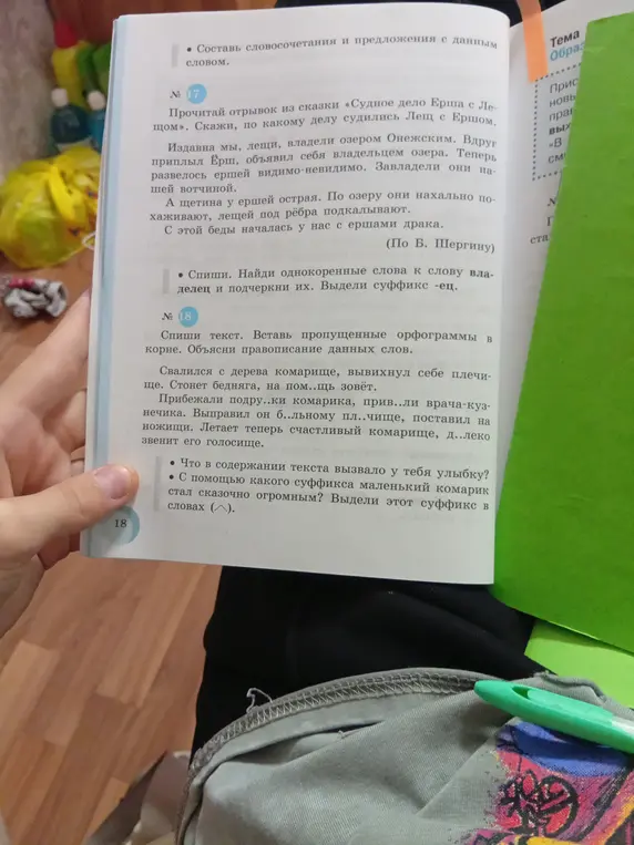Помоги мне выполнить упражнения 17 и 18 по русскому языку.