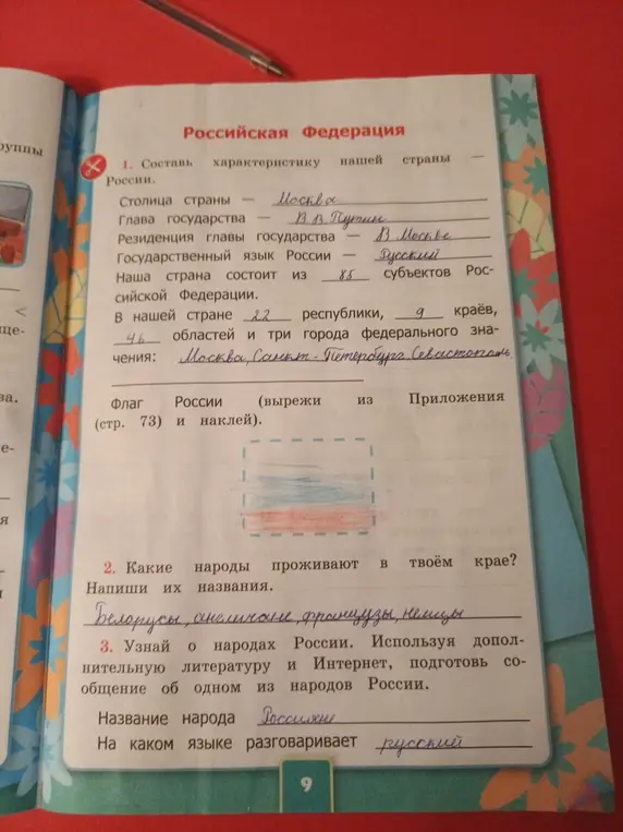 Составь характеристику нашей страны России.