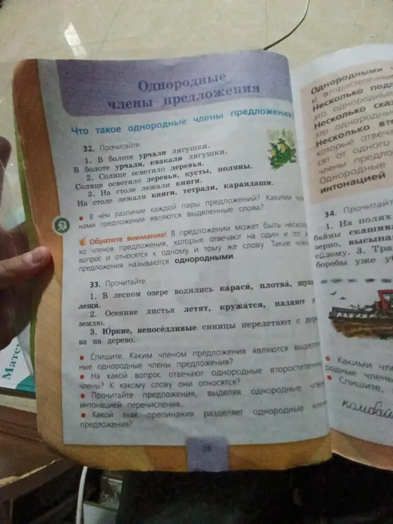Выполни задание: определи, каким членом предложения являются выделенные однородные члены предложения в упражнении 33