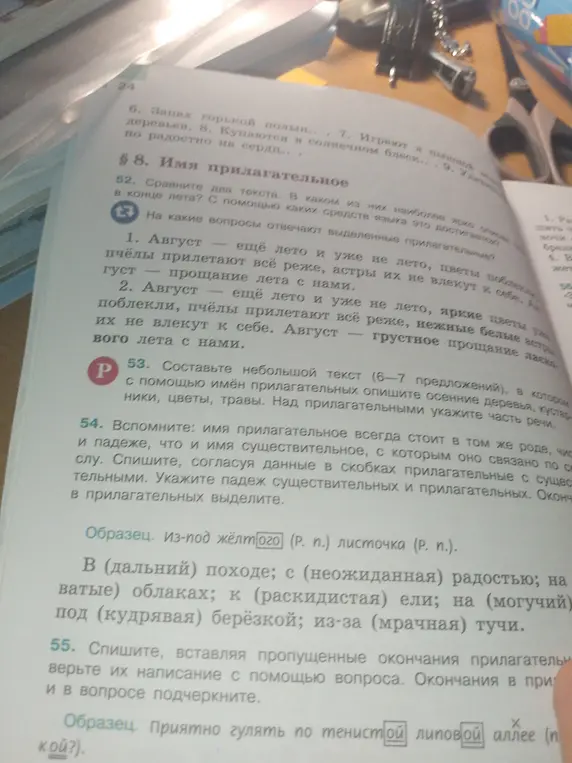 На какие вопросы отвечают выделенные прилагательные?