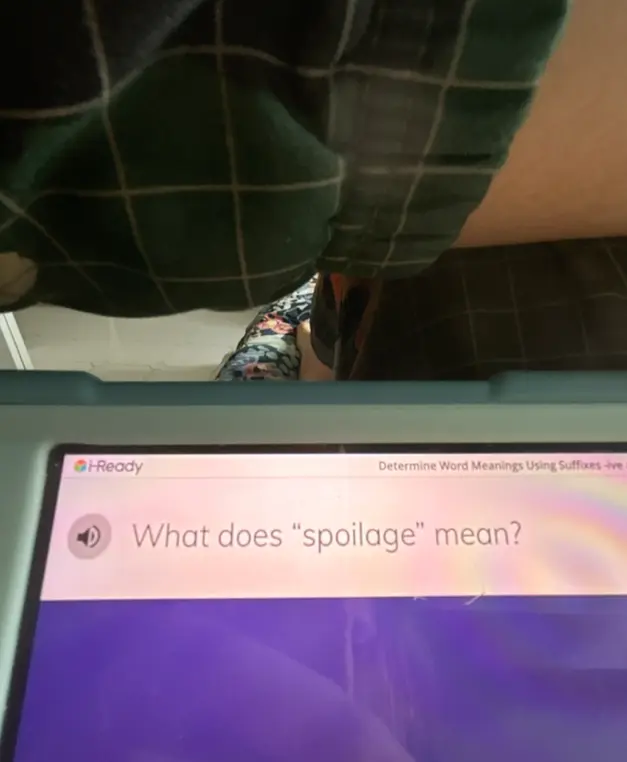 Что означает слово "spoilage"?