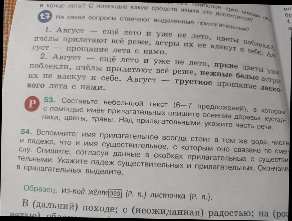 На какие вопросы отвечают выделенные прилагательные?