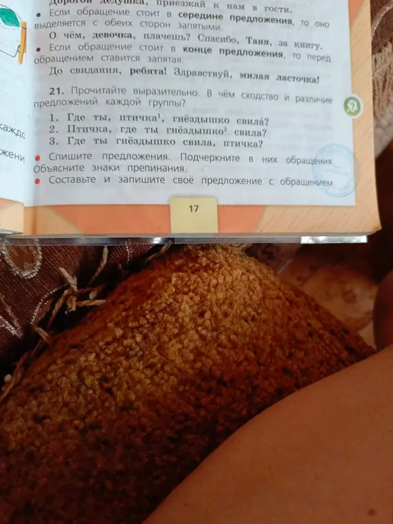Объясни знаки препинания в предложениях, где есть обращения: "Где ты, птичка, гнёздышко свила?"