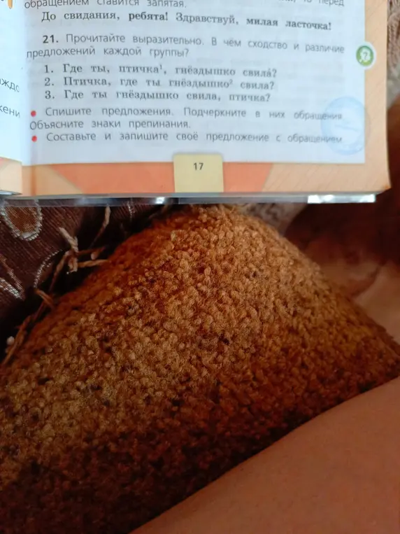 Выполни задание: Спиши предложения, подчеркни в них обращения. Объясни знаки препинания.
