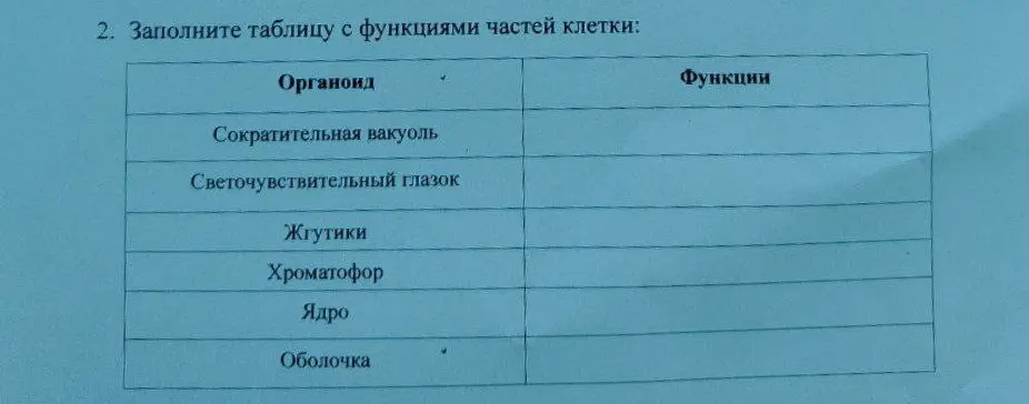 Составь таблицу с функциями частей клетки: Сократительная вакуоль, Светочувствительный глазок, Жгутики, Хроматофор, Ядро, Оболочка.
