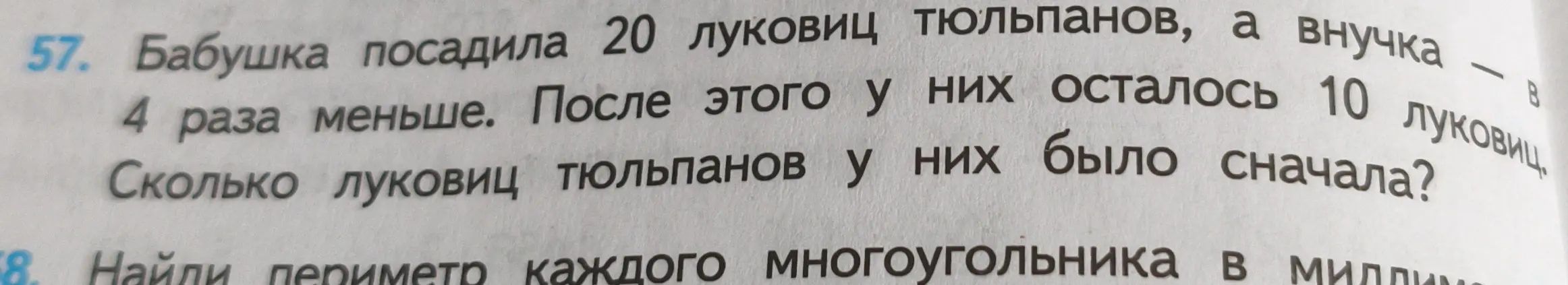 Помоги решить задачи: 57. Бабушка посадила 20 луковиц тюльпанов, а внучка — в 4 раза меньше. После этого у них осталось 10 луковиц. Сколько луковиц тюльпанов у них было сначала? 58. Найди периметр каждого многоугольника в миллиметрах