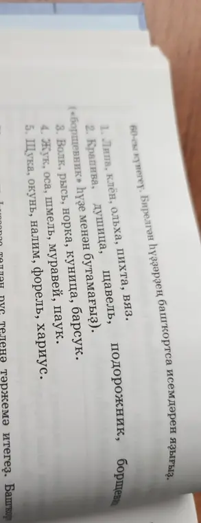 Переведи слова с русского на башкирский язык: липа, клён, ольха, пихта, вяз