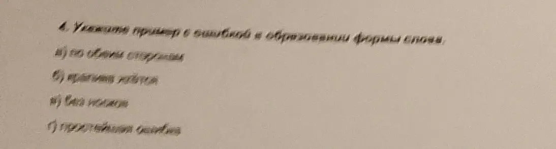 Укажи пример с ошибкой в образовании формы слова в варианте "по обеим сторонам".