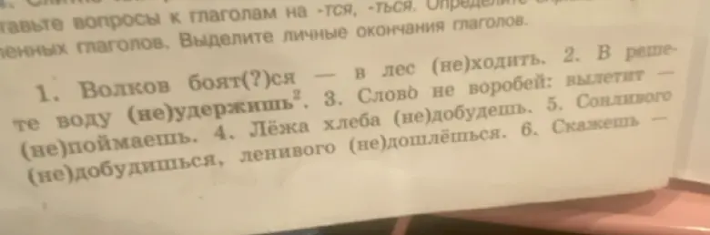 Вставь пропущенные буквы и раскрой скобки в предложениях: Волков боят(?)ся в лес (не)ходить.