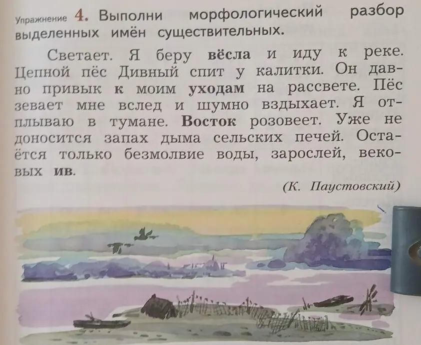 Выполни морфологический разбор выделенных имён существительных в тексте.