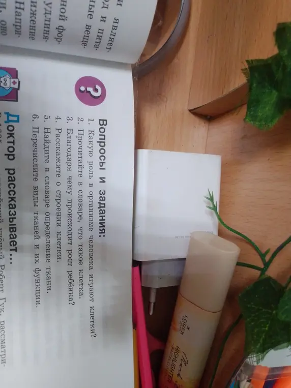 Какую роль в организме человека играют клетки?