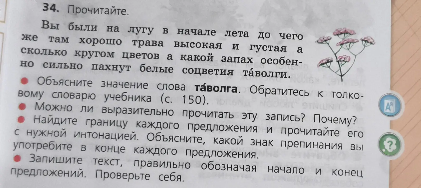 Объясни значение слова таволга из текста