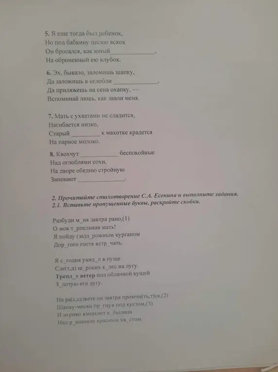 Вставь пропущенные буквы, раскрой скобки в стихотворении С.А. Есенина