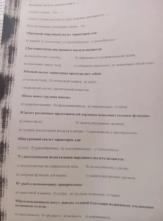 Помоги мне ответить на вопросы по биологии: 'Прочный наружный скелет характерен для'