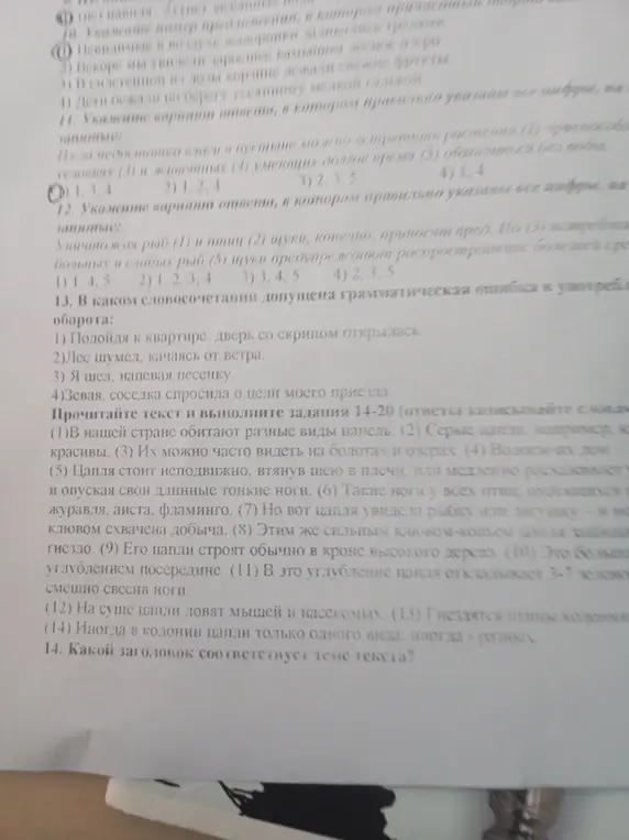 Можешь подсказать, какой заголовок соответствует теме текста о цаплях?